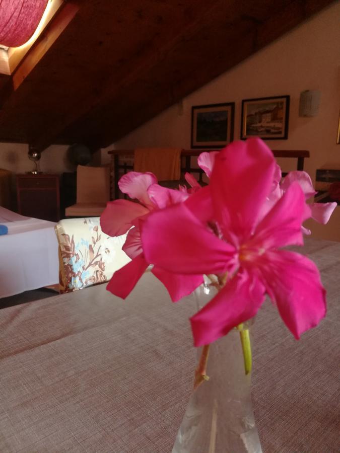 La Calletta 로비니 외부 사진