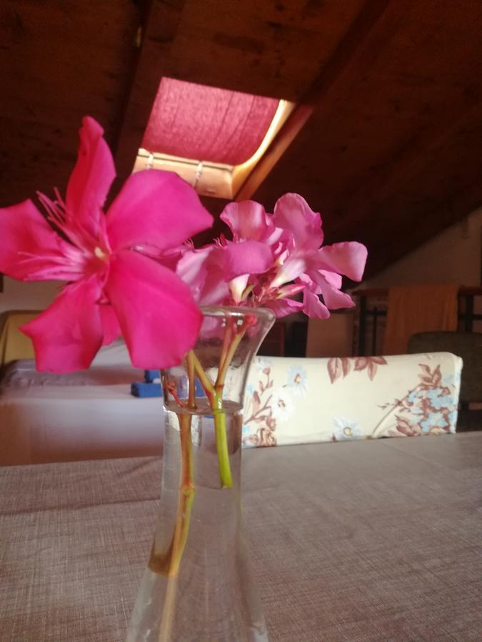La Calletta 로비니 외부 사진